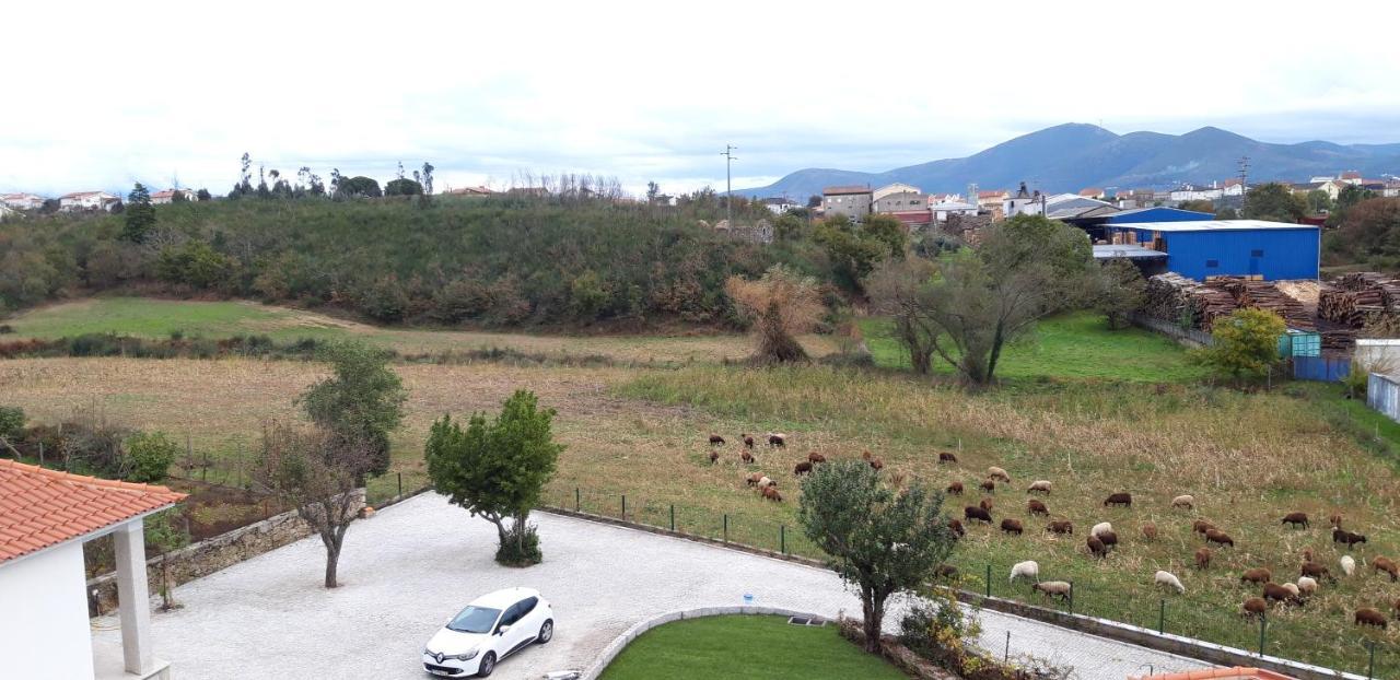 Casa Moiano Konuk evi Oliveira do Hospital Dış mekan fotoğraf